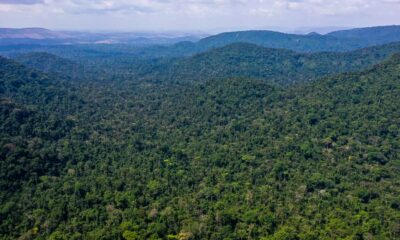 cumprimento-do-acordo-de-paris-vai-alem-da-amazonia,-aponta-relatorio