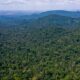 cumprimento-do-acordo-de-paris-vai-alem-da-amazonia,-aponta-relatorio