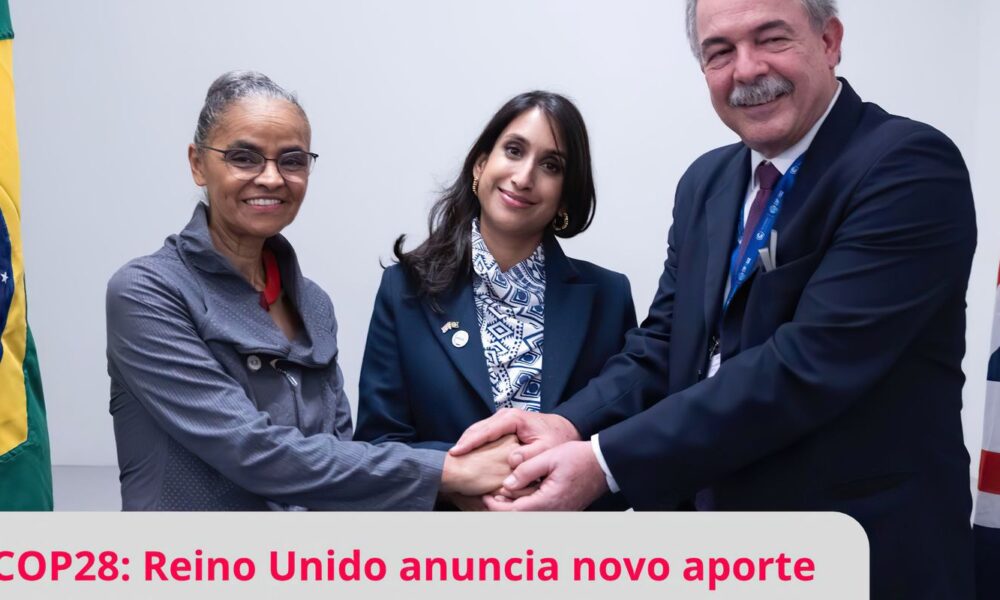 reino-unido-anuncia-mais-r$-215-milhoes-para-o-fundo-amazonia