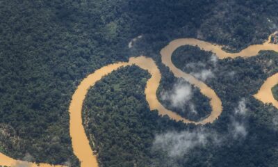noruega-anuncia-mais-r$-245-milhoes-para-o-fundo-amazonia