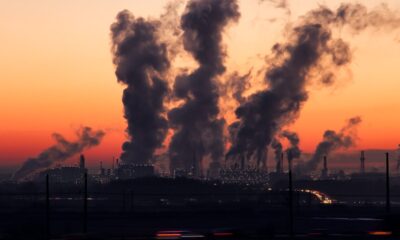 cop28-aprova-brasil-como-sede-da-conferencia-do-clima-de-2025