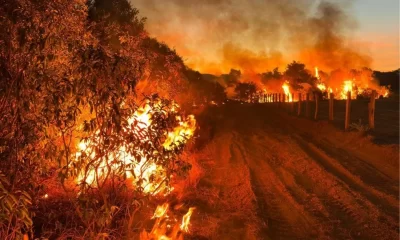 areas-queimadas-no-pantanal-de-mato-grosso-do-sul-cresceram-211%-neste-ano-–-folha-de-dourados-–-noticias-de-dourados-ms-e-regiao