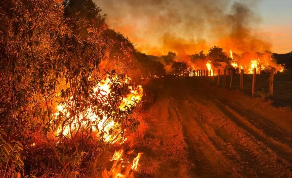 areas-queimadas-no-pantanal-de-mato-grosso-do-sul-cresceram-211%-neste-ano-–-folha-de-dourados-–-noticias-de-dourados-ms-e-regiao