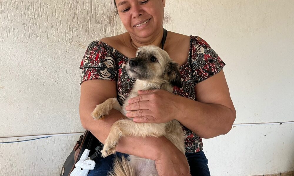 prefeitura-reabre-inscricoes-para-programa-municipal-de-castracao-|-portal-prefeitura-de-dourados