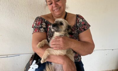 prefeitura-reabre-inscricoes-para-programa-municipal-de-castracao-|-portal-prefeitura-de-dourados