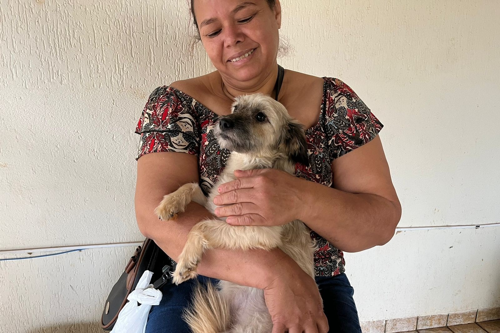 prefeitura-reabre-inscricoes-para-programa-municipal-de-castracao-|-portal-prefeitura-de-dourados