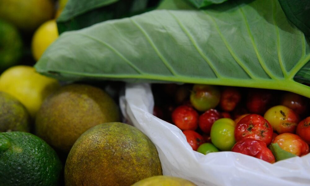 lula-sanciona-com-vetos-projeto-de-lei-dos-agrotoxicos