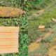 bope-remove-bala-de-canhao-encontrada-em-casa-no-sao-conrado-em-campo-grande