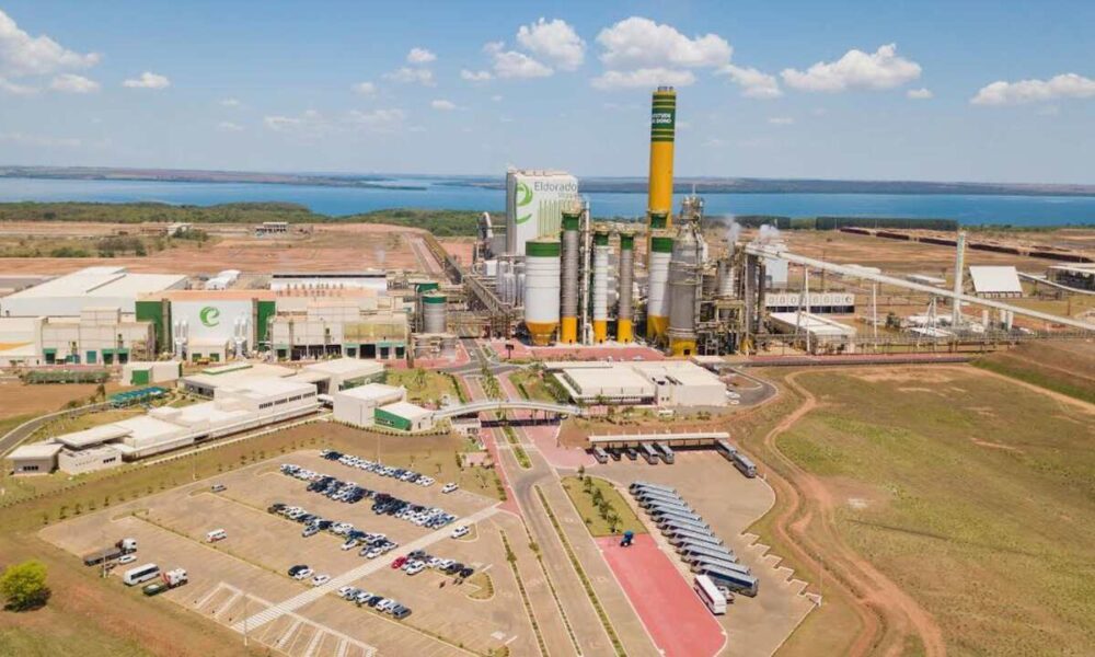 eldorado-esta-com-vagas-de-estagio-abertas-para-mato-grosso-do-sul