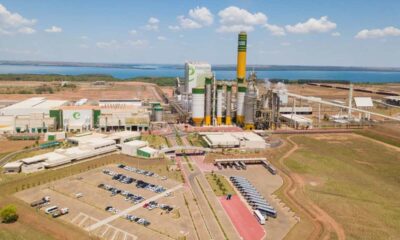 eldorado-esta-com-vagas-de-estagio-abertas-para-mato-grosso-do-sul