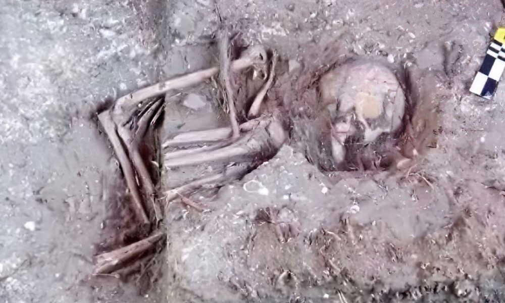 construtora-encontra-ossadas-e-pecas-arqueologicas-em-obra-no-maranhao