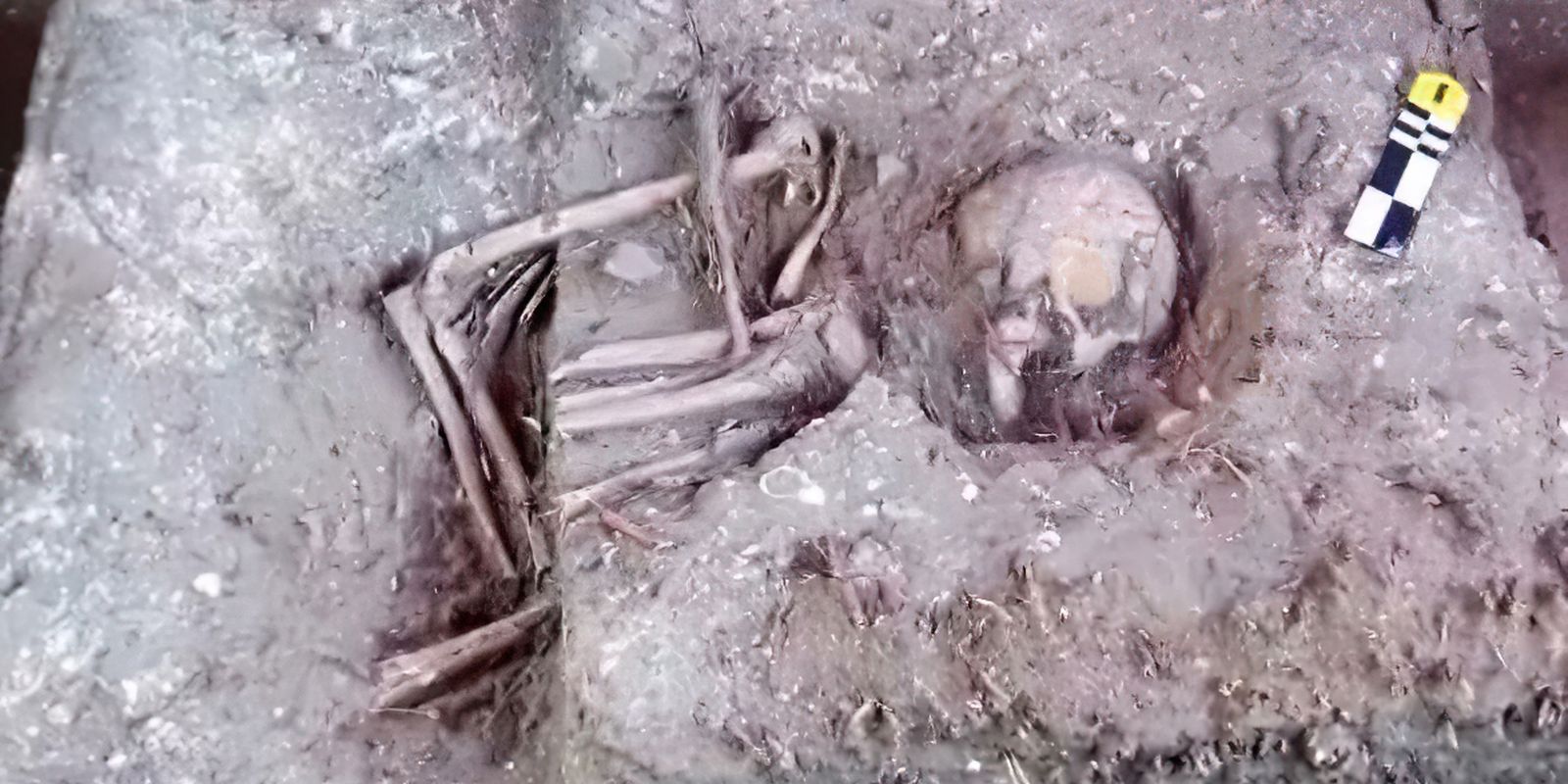 construtora-encontra-ossadas-e-pecas-arqueologicas-em-obra-no-maranhao