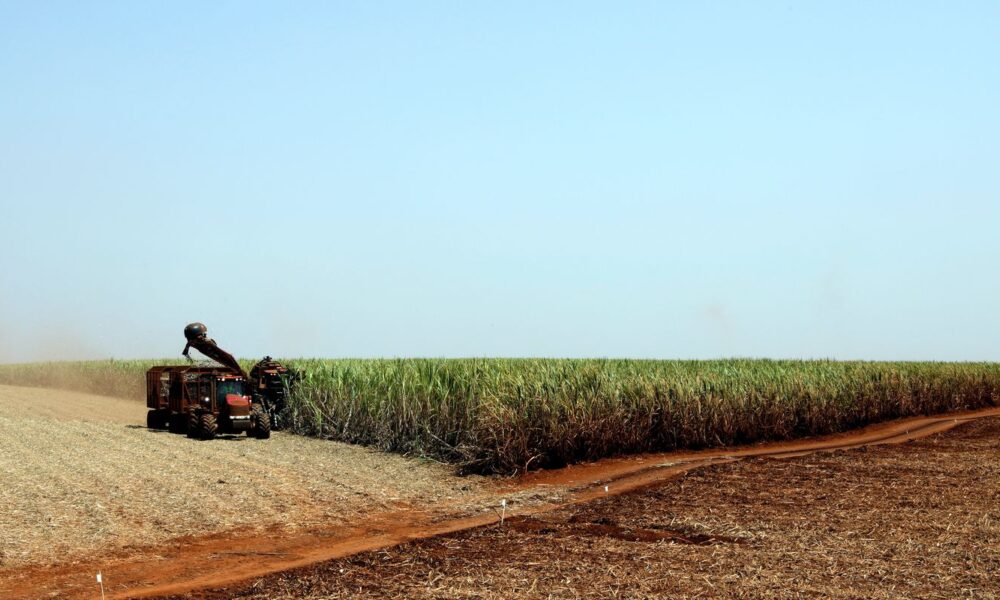 projecao-da-safra-de-graos-2023/24-cai-para-306,4-milhoes-de-toneladas