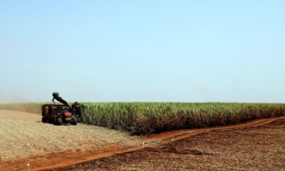 projecao-da-safra-de-graos-2023/24-cai-para-306,4-milhoes-de-toneladas