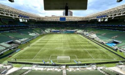 palmeiras-desafia-wtorre-e-diz-que-nao-joga-no-allianz-parque-enquanto-gramado-nao-for-arrumado