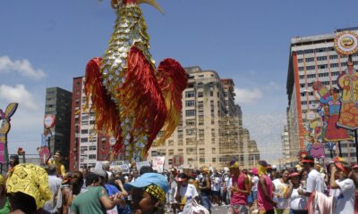 galo-da-madrugada-homenageia-este-ano-o-cantor-reginaldo-rossi