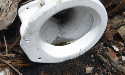 casos-de-dengue-no-estado-do-rio-aumentam-56%-em-uma-semana