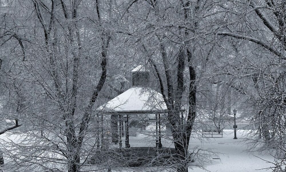 neve-cobre-nordeste-dos-eua,-fecha-escolas-e-cancela-voos
