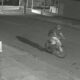 video:-mulher-e-roubada-e-agredida-em-ponto-de-onibus-no-sao-conrado