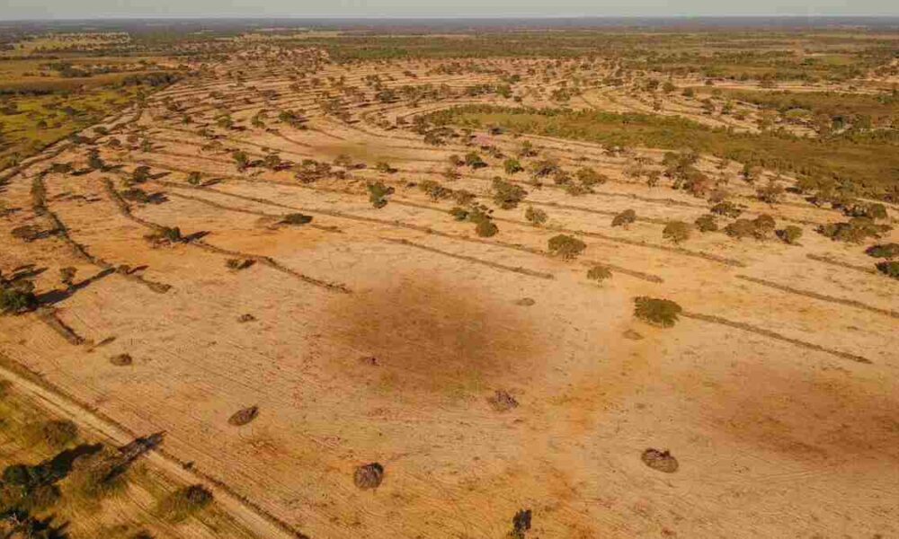 lei-do-pantanal-entre-em-vigor-60-dias-apos-publicacao-em-mato-grosso-do-sul