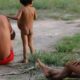 estudo-aponta-impacto-etnorracial-no-desenvolvimento-infantil