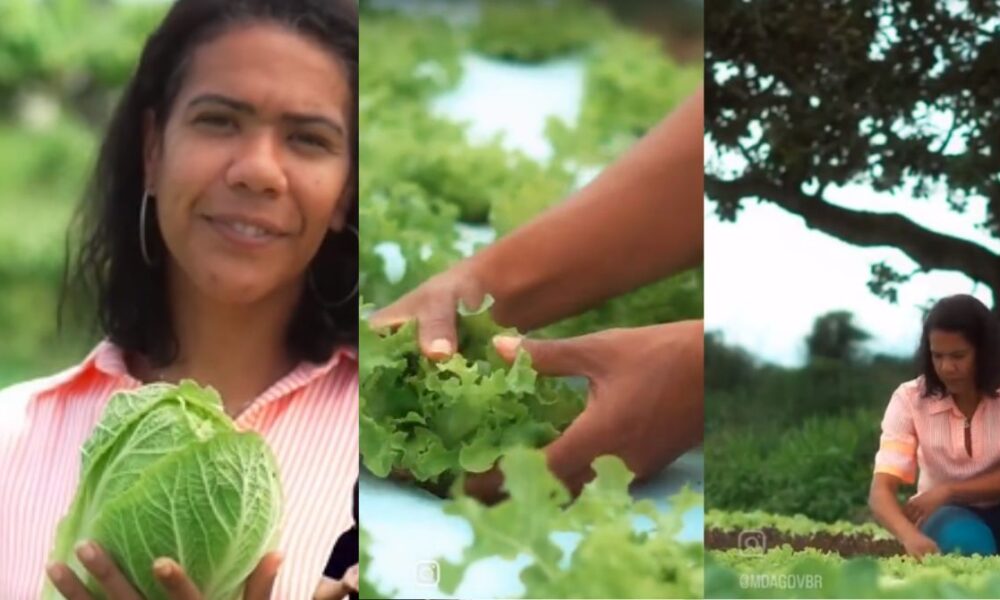 pronaf-ja-concedeu-mais-de-r$-300-milhoes-para-producoes-de-agricultura-familiar-em-ms