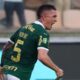 palmeiras-bate-mirassol-de-virada-em-jogo-disputado-e-se-classifica-as-quartas-do-paulistao