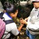 dia-d:-ms-participa-de-mobilizacao-nacional-para-o-combate-a-dengue-–-folha-de-dourados-–-noticias-de-dourados-ms-e-regiao