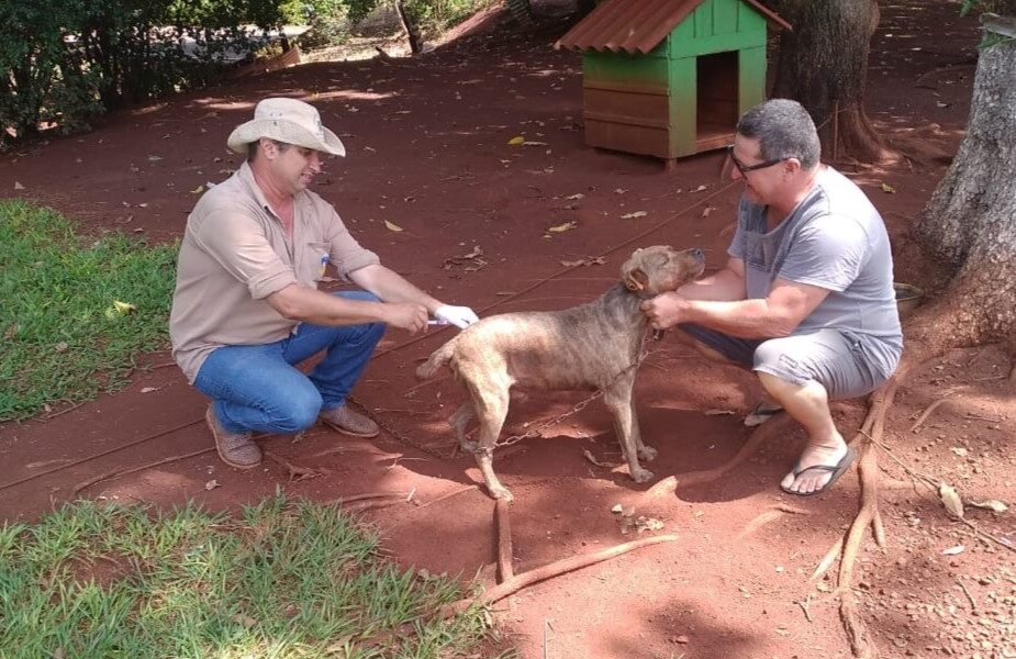 ccz-alerta-para-letalidade-da-raiva-e-disponibiliza-vacinacao-em-animais-domesticos-|-portal-prefeitura-de-dourados
