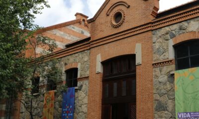 museu-da-vida-apresenta-no-rio-documentario-mulheres-&-covid