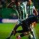 paysandu-tem-100%-de-aproveitamento-dentro-do-para,-mas-partida-fora-tem-sido-empecilho