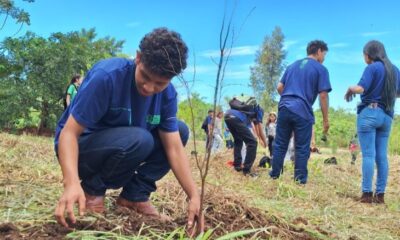 projeto-com-estudantes-de-escola-indigena-realiza-restauracao-de-vegetacao-em-dourados-–-folha-de-dourados-–-noticias-de-dourados-ms-e-regiao