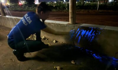 dois-sao-presos-por-executarem-desafeto-em-bar-e-desovarem-corpo-em-distrito-de-nova-andradina