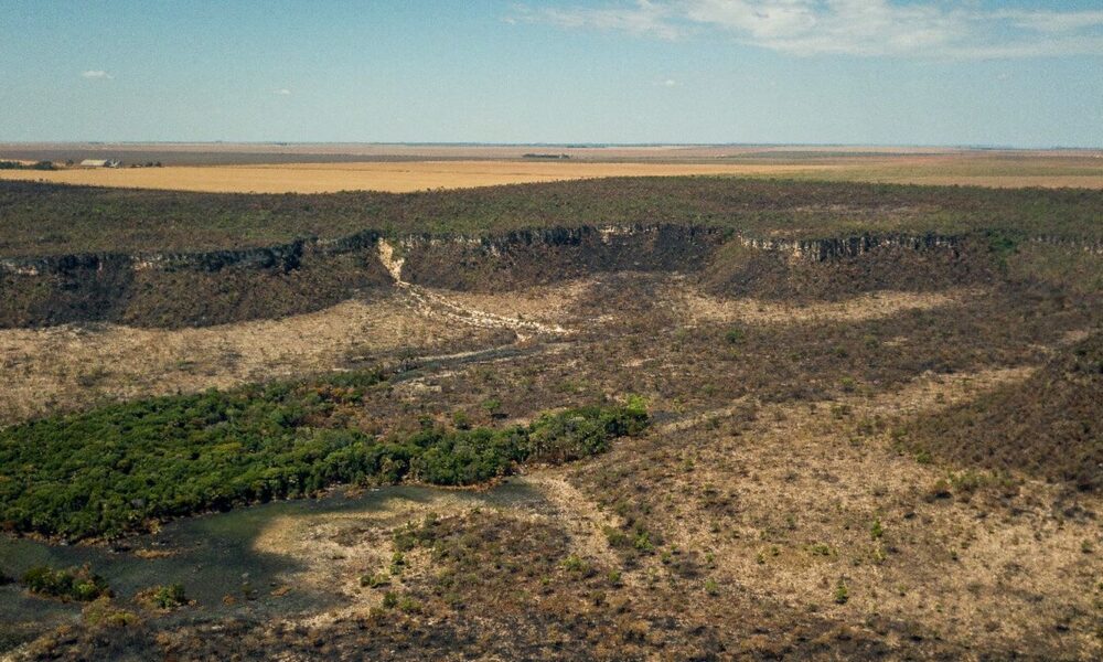 governo-monta-forca-tarefa-para-conter-desmatamento-no-cerrado