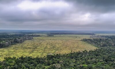 prorrogada-adesao-a-programa-de-combate-ao-desmatamento-na-amazonia