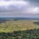 prorrogada-adesao-a-programa-de-combate-ao-desmatamento-na-amazonia
