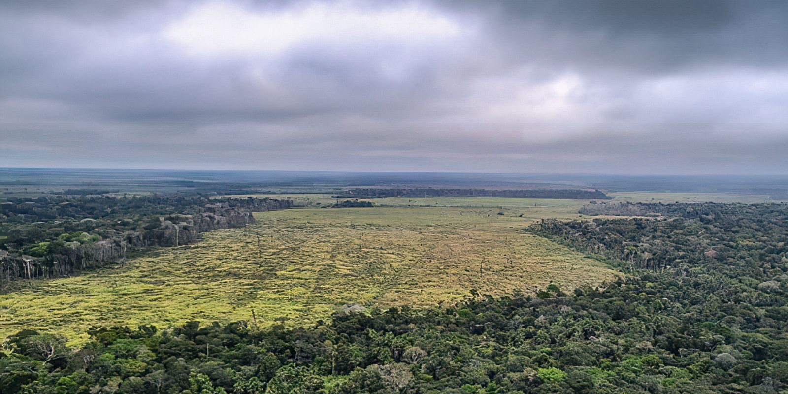 prorrogada-adesao-a-programa-de-combate-ao-desmatamento-na-amazonia