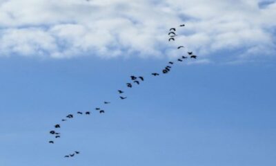 primeira-semana-do-mes-tem-previsao-de-calor-e-pancadas-de-chuva-em-ms-–-folha-de-dourados-–-noticias-de-dourados-ms-e-regiao