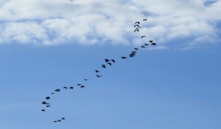 primeira-semana-do-mes-tem-previsao-de-calor-e-pancadas-de-chuva-em-ms-–-folha-de-dourados-–-noticias-de-dourados-ms-e-regiao