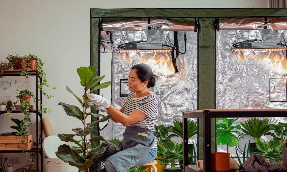 descobrindo-o-cultivo-indoor:-como-o-kit-grow o-led-para-plantas-estao virando-mania-dentro-dos-lares