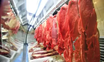 conab:-aumento-na-producao-de-carnes-deve-manter-precos-baixos-–-folha-de-dourados-–-noticias-de-dourados-ms-e-regiao