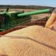 ausencia-de-chuvas-e-altas-temperaturas-terao-impacto-negativo-em-lavouras-de-milho-–-folha-de-dourados-–-noticias-de-dourados-ms-e-regiao