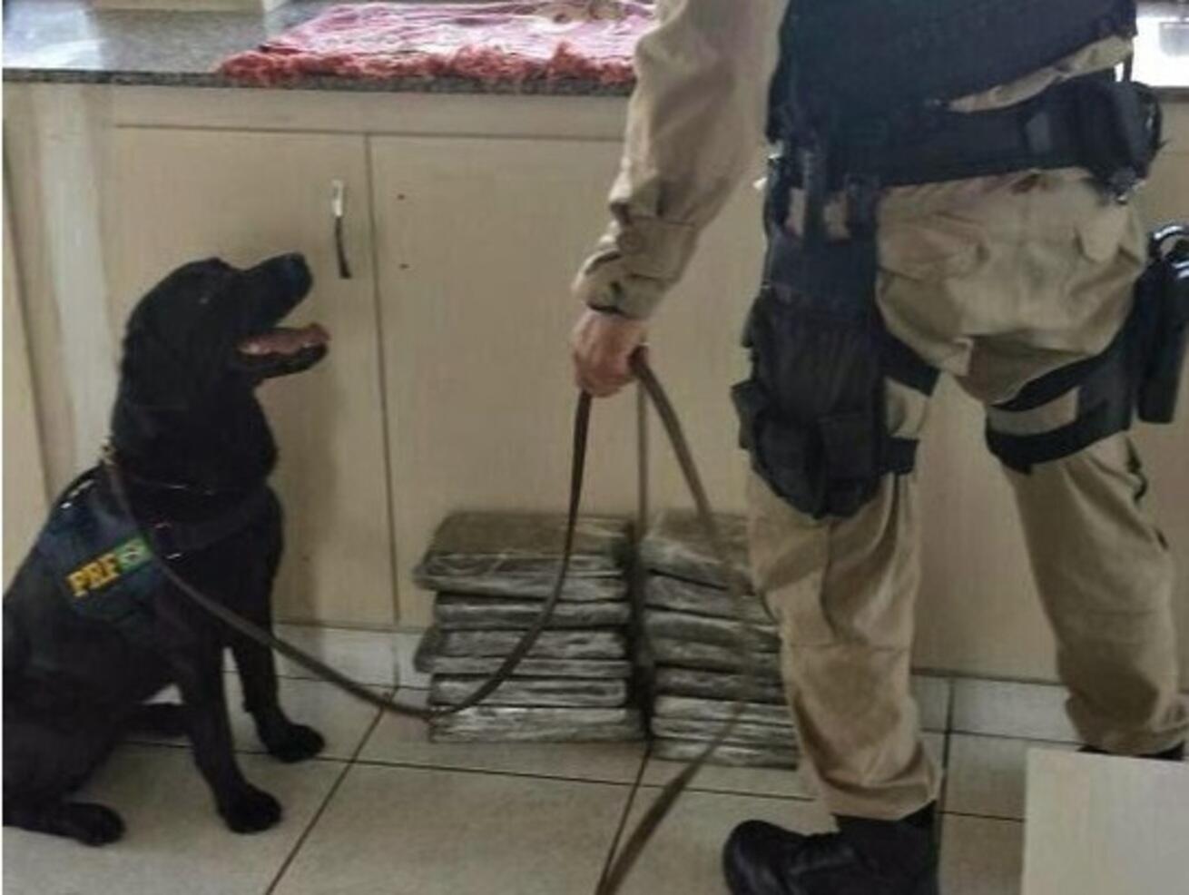 policia-rodoviaria-federal-ms-se-despede-da-k9-meg