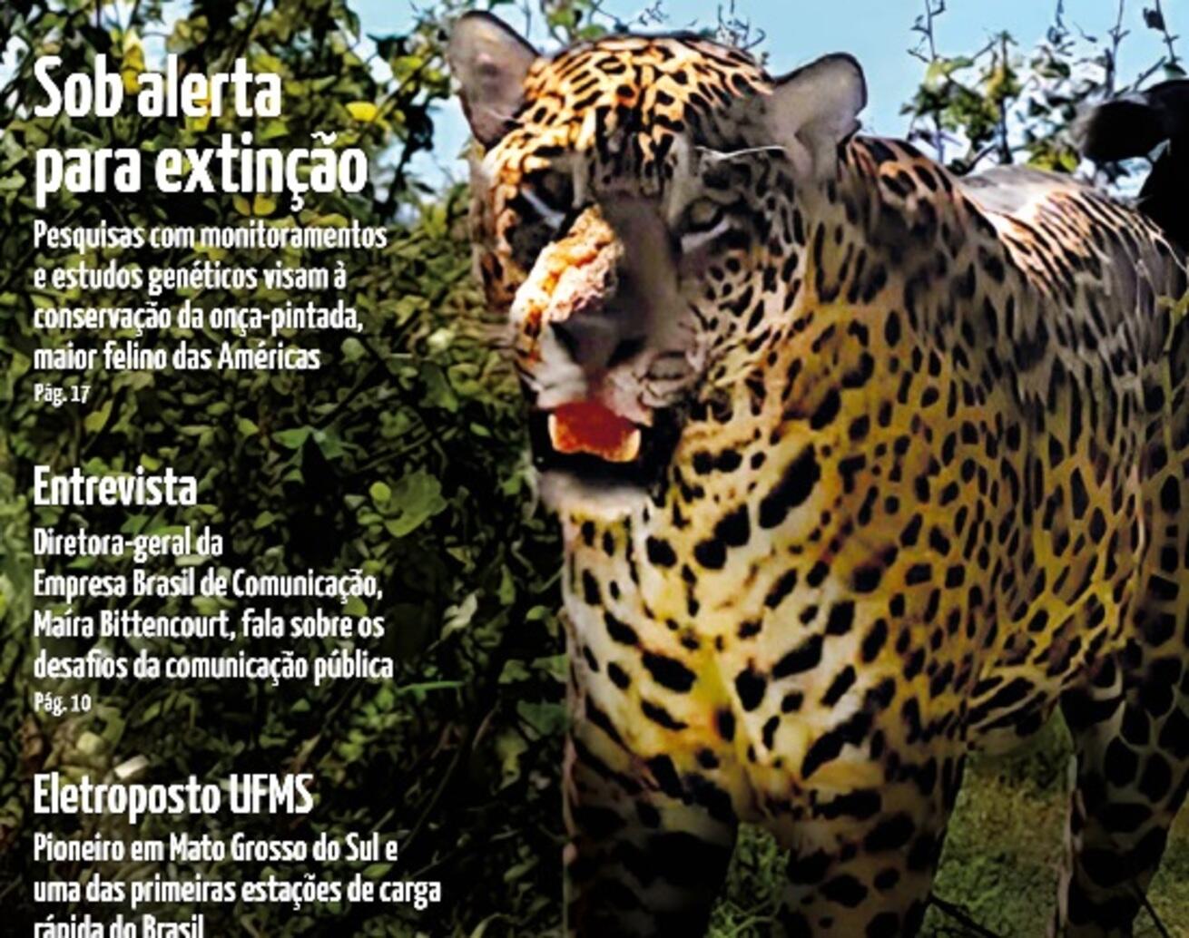revista-de-divulgacao-cientifica-da-ufms-destaca-preservacao-da-onca-pintada