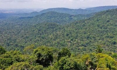 prorrogada-adesao-a-programa-de-combate-ao-desmatamento-na-amazonia-–-folha-de-dourados-–-noticias-de-dourados-ms-e-regiao