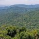 prorrogada-adesao-a-programa-de-combate-ao-desmatamento-na-amazonia-–-folha-de-dourados-–-noticias-de-dourados-ms-e-regiao