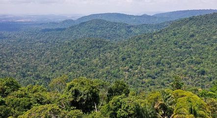 prorrogada-adesao-a-programa-de-combate-ao-desmatamento-na-amazonia-–-folha-de-dourados-–-noticias-de-dourados-ms-e-regiao