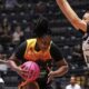 basquete-feminino:-tv-brasil-transmite-unimed-campinas-x-corinthians