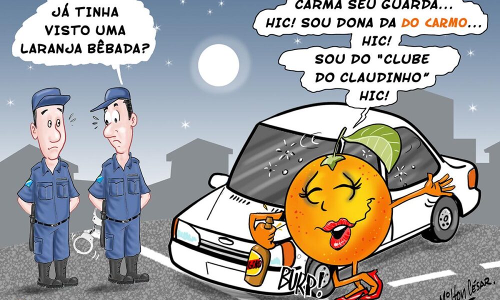 enquanto-isso,-em-sidrolandia…