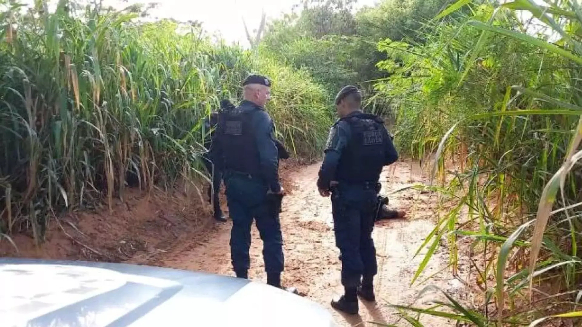 tres-lagoas:-policia-prende-suspeitos-de-matarem-homem-espancado-em-cinturao-verde-–-folha-de-dourados-–-noticias-de-dourados-ms-e-regiao